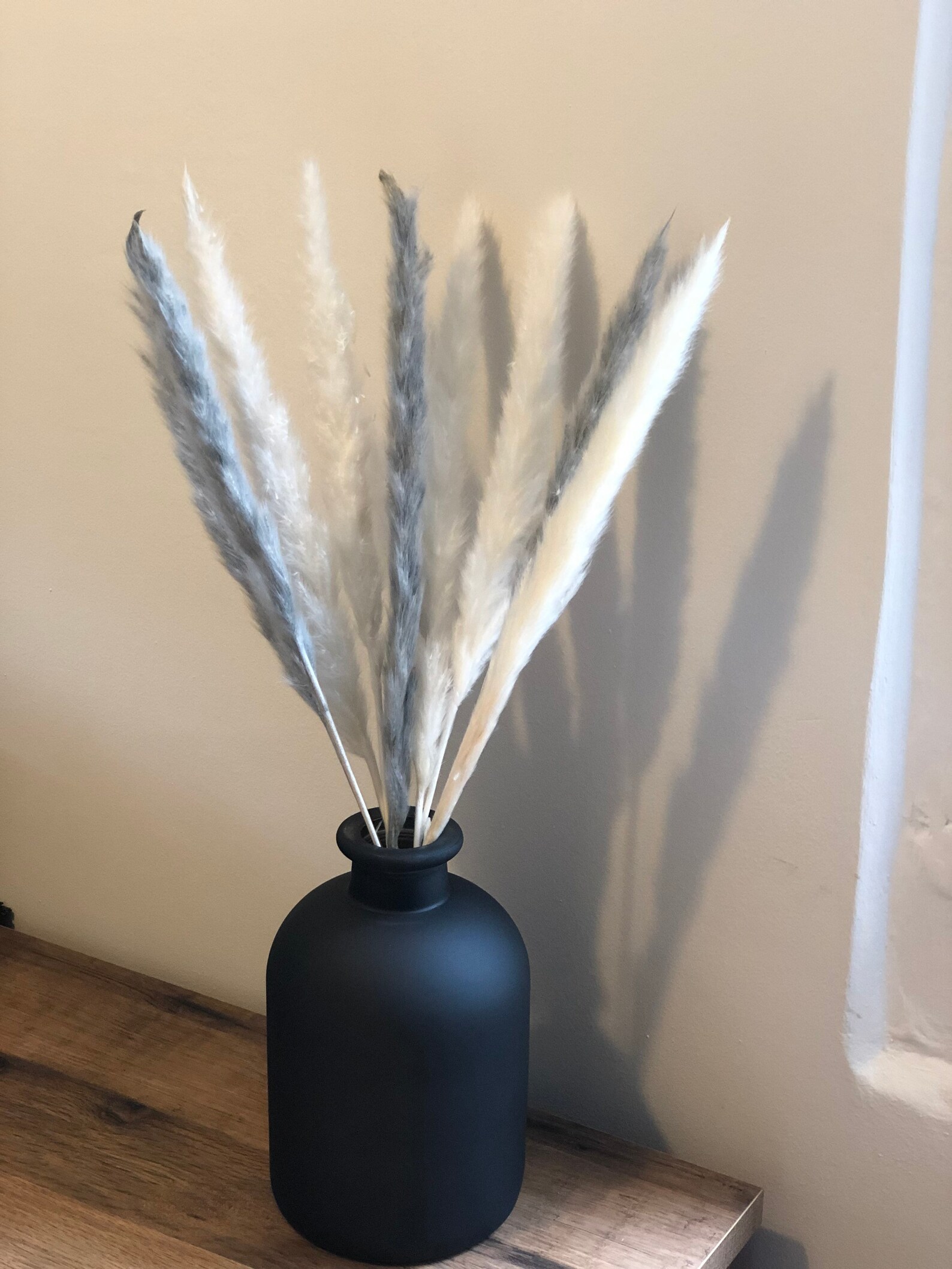 Mini pampas grass with vase Grey pampas grass Ivory pampas Etsy