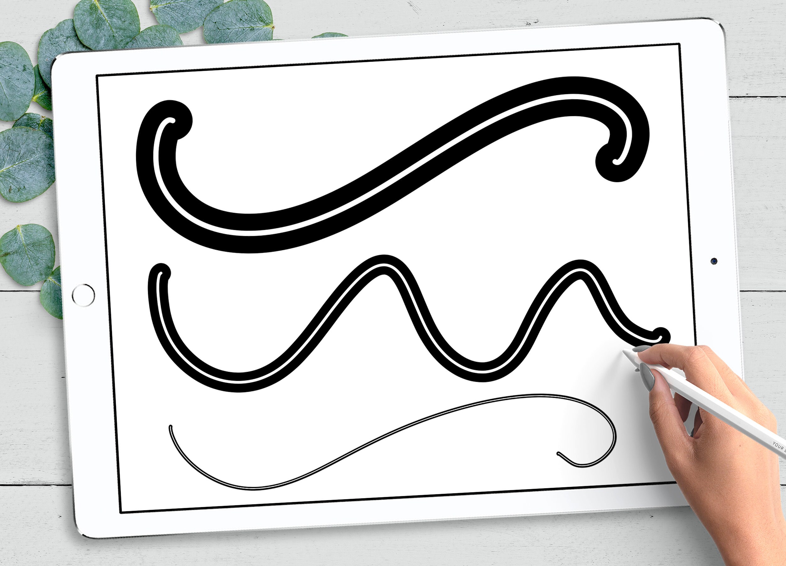 Procreate Monoline Brushes Procreate Outline Brushes Etsy