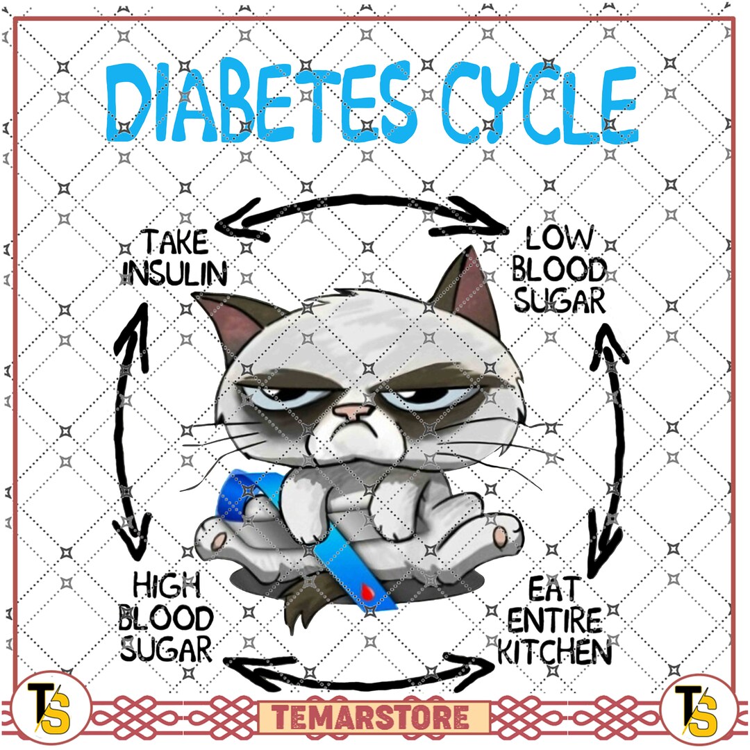 Diabetes Cycle Cats Low Blood Sugar Take Insulin Eat Entire Etsy