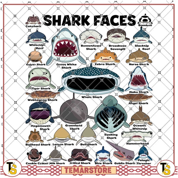 Shark Faces, types of shark, gift for Shark lovers, gift for sea life lovers PNG file, Sublimation Designs, digital Download