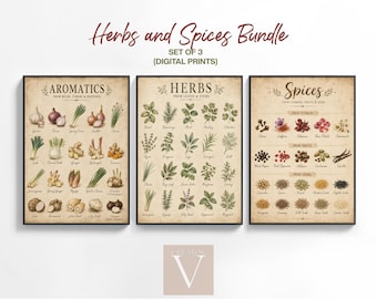 Herbs and Spices Bundle: Aromatics, Cooking, Kitchen (Digital Download)