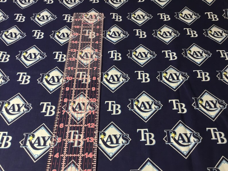 1/2 Yard MLB Tampa Bay Rays Fabric 18x58, AL Pennant Winners the Rays