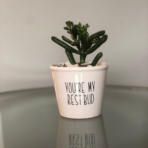 You're My Best Bud | Planter Pot