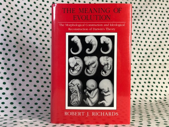 The Meaning of Evolution: the Morphological Construction and