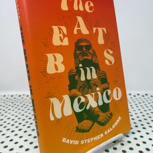 The Beats In Mexico by David Stephen Calonne hardcover
