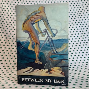 Between My Legs by Chaim Sil vintage softcover