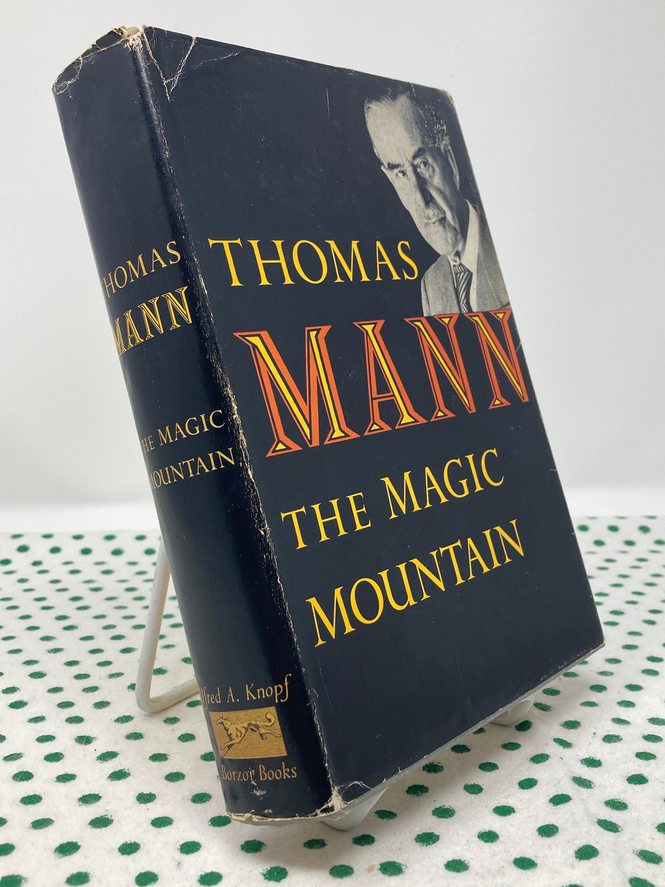 The Magic Mountain by Thomas Mann Vintage Hardcover - Etsy