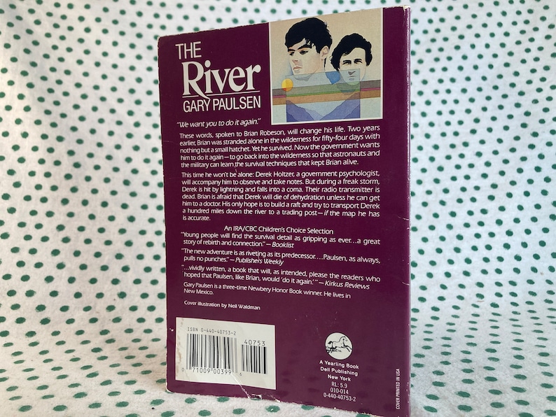 The River by Gary Paulsen Vintage Paperback - Etsy