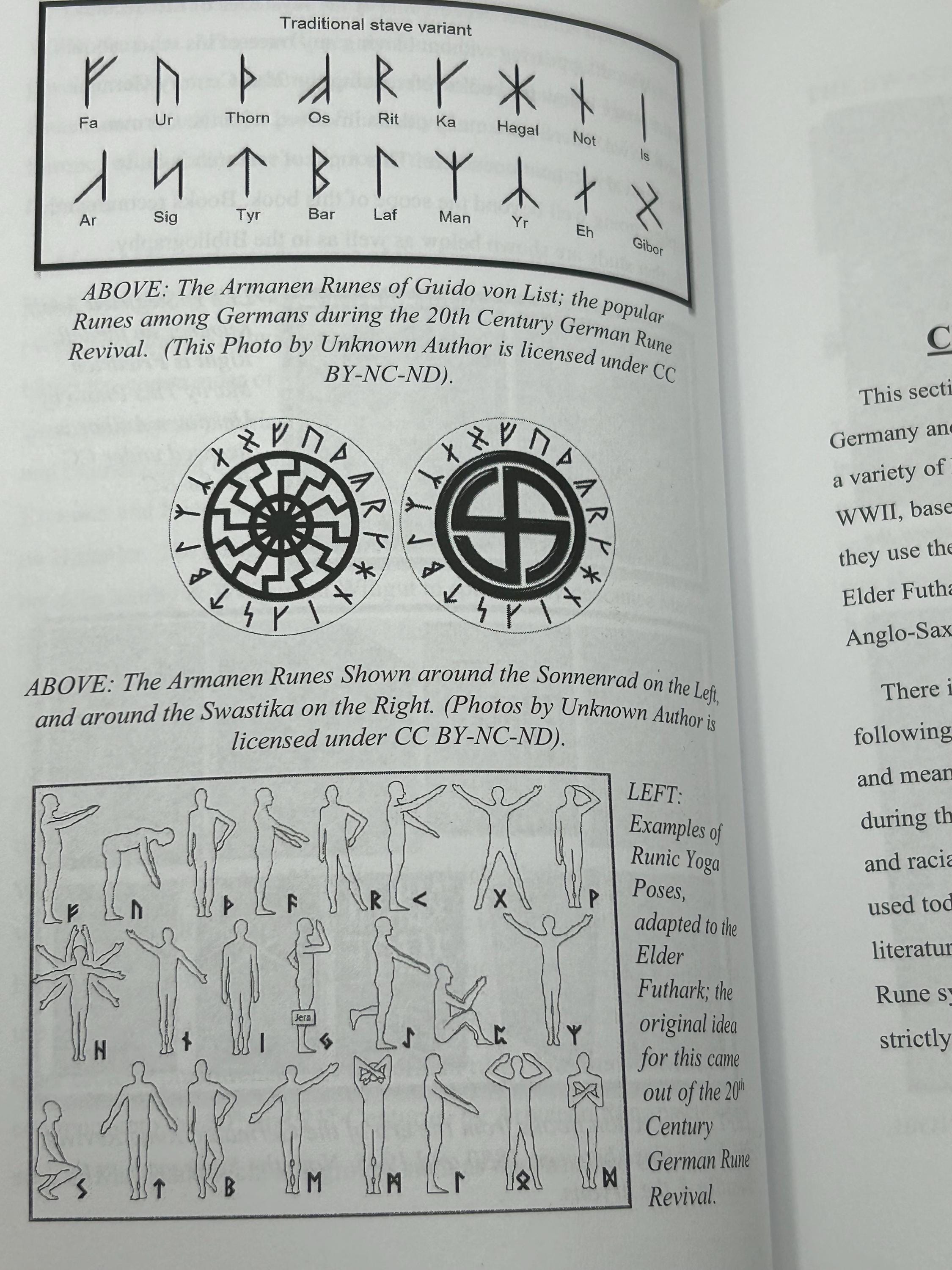 Norse / Germanic Runes & Symbols SIGNED by D.J. Schilling Field ...