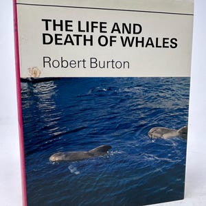 The Life and Death of Whales by Robert Burton vintage hardcover book 1973