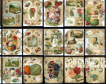 Victorian Scrap Book (1888) Album, 40 printable pages delivered on PDF, Beautiful colored paper from the 1850s thru 1880s.