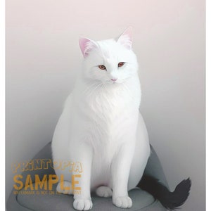 May include: A fluffy white cat with amber eyes sits on a gray chair. The cat has a long, flowing coat and a black tail. The image has a soft, neutral background. The watermark says "PRINTTOPIA SAMPLE".
