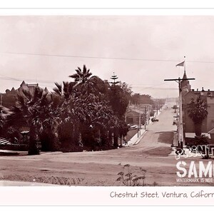 View of Chestnut Street, (c 1920) Looking Towards the Ventura Pier, Pierpont Bay, Pacific Ocean, Sepia Photograph Print, Vintage California
