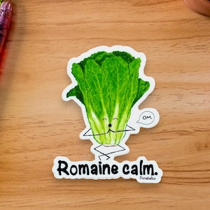 May include: A white sticker with a green romaine lettuce cartoon character meditating with the text "Romaine calm." and "Punbaaboo" below.