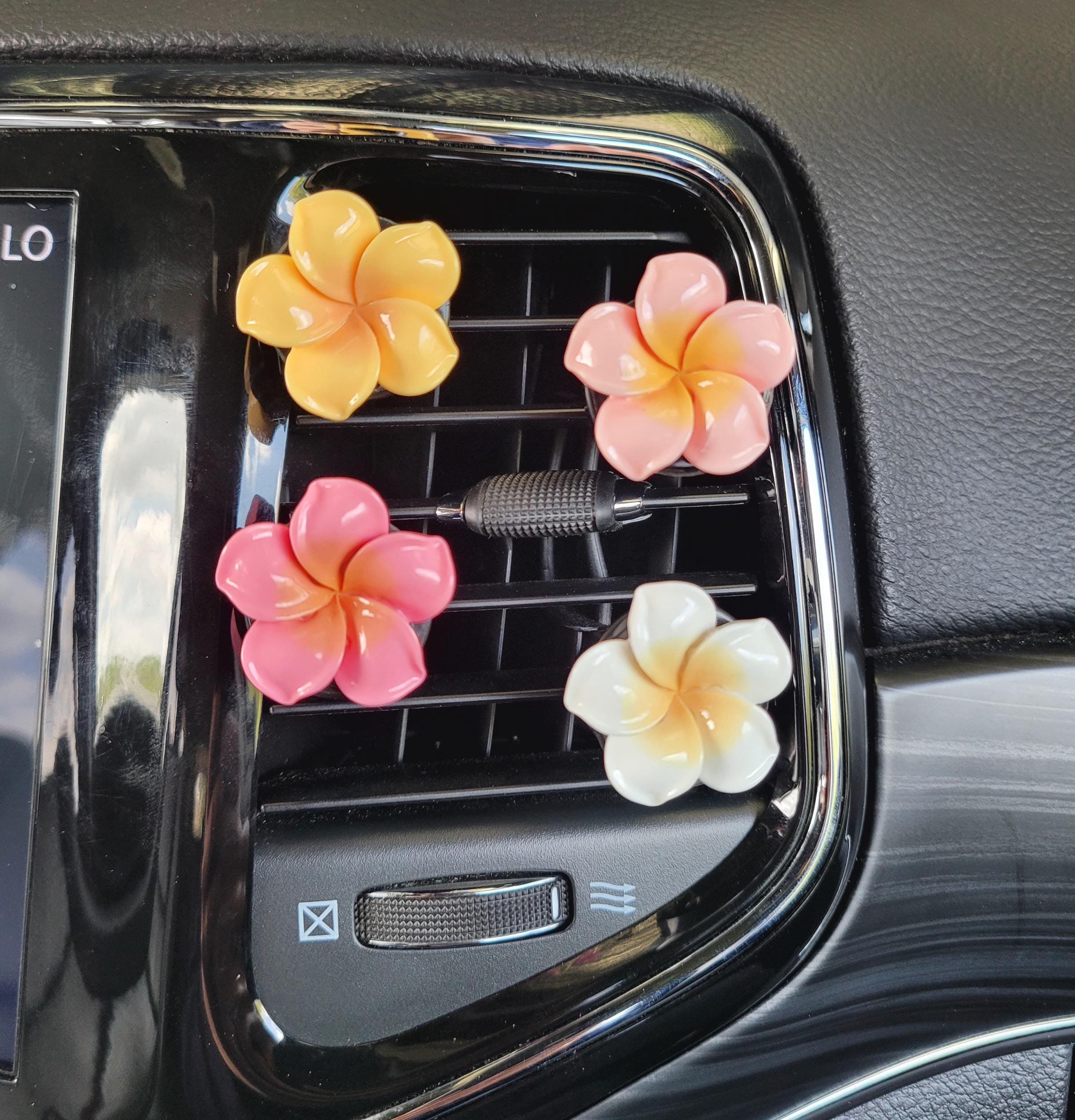 New Driver Gift Box | Car Freshies | Car Air Fresheners | Car Vent Clips | Car Charms | Cute Car Accessories | Hawaiian Car Decor