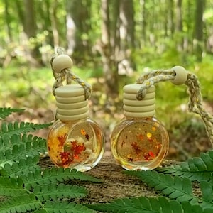 Puede incluir: Dos pequeñas botellas redondas de vidrio llenas de un líquido transparente y decoraciones con temática otoñal. Cada botella tiene una tapa de madera y una cuerda para colgar. Las botellas se exhiben sobre una superficie de madera con hojas de helecho verdes en primer plano.