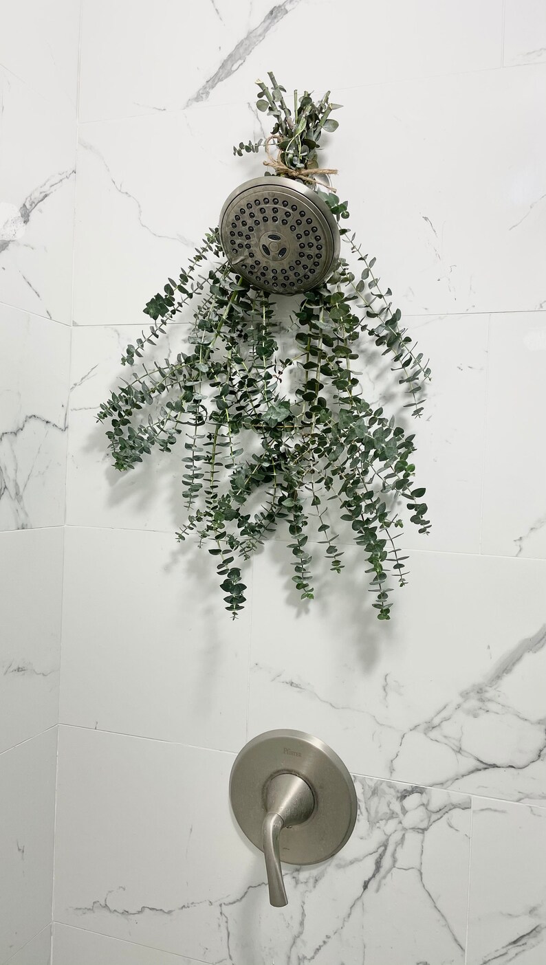 Semi Dried EUCALYPTUS Shower Bundle Natural Remedy Aroma Etsy