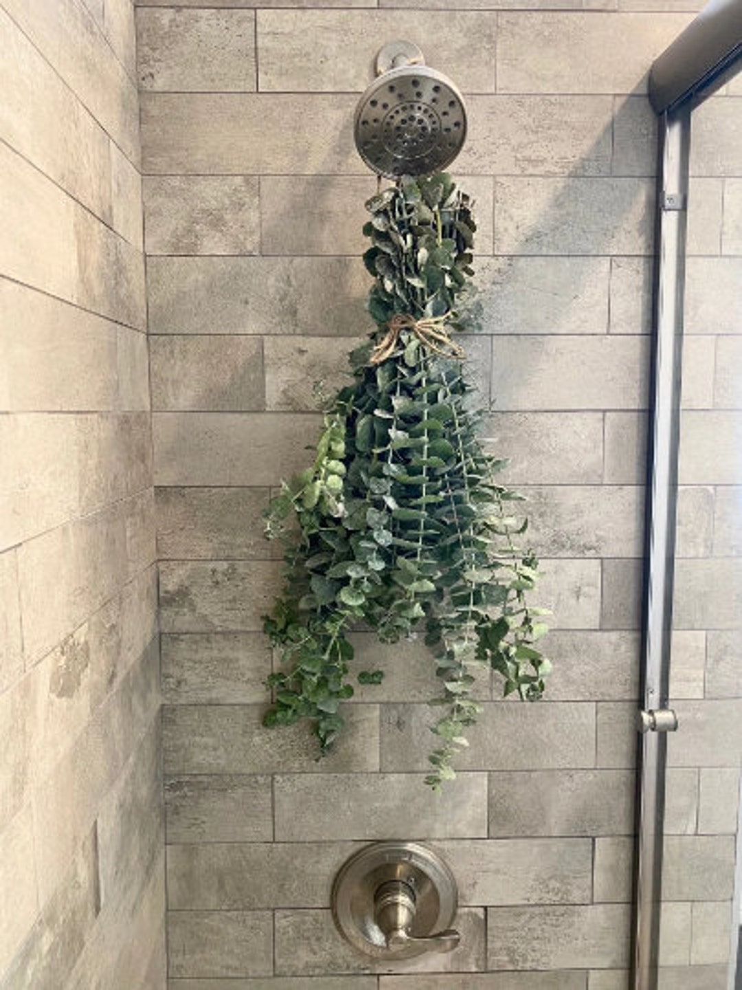 Fresh Baby Blue Eucalyptus Shower Bundle | Spa-like Eucalyptus ...