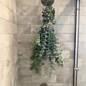 Fresh Baby Blue Eucalyptus Shower Bundle | Spa-like Eucalyptus | Natural Organic Plant | Minty, Citrusy Fragrance | Direct Farm to Shower