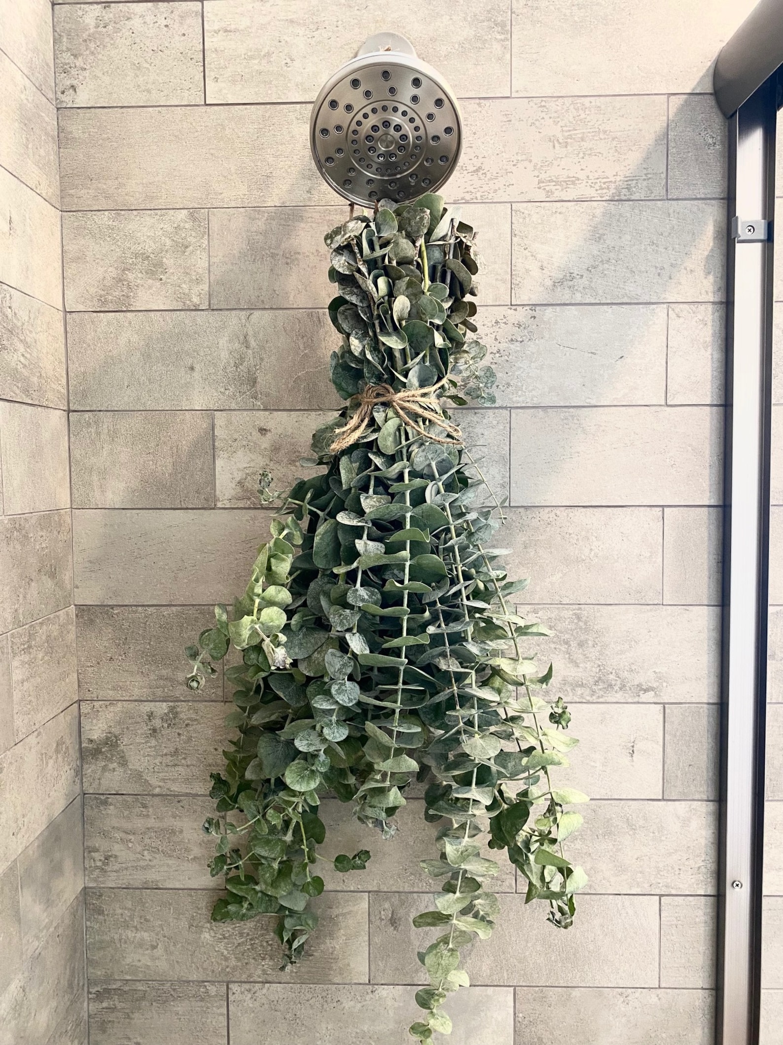 Fresh Baby Blue Eucalyptus Shower Bunch Shower Eucalyptus Etsy