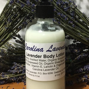 Carolina Lavender Skin Lotion