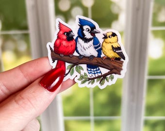 Three Birds on a Branch Sticker | Cardinal, Blue Jay, Yellow Finch, Decorative Sticker, Kindle Sticker