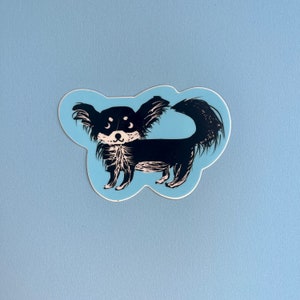 CHIHUAHUA DOG STICKER - Decals for Laptop - Longhair Black and White Chihuahua Dog Sticker - Adhesive Vinyl Decals - Decal for Phone Case