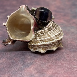 Fluorite and .925 Sterling Silver Ring Size 6