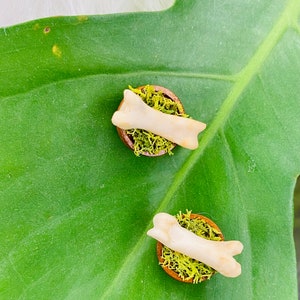 Athletic coyote bone earrings