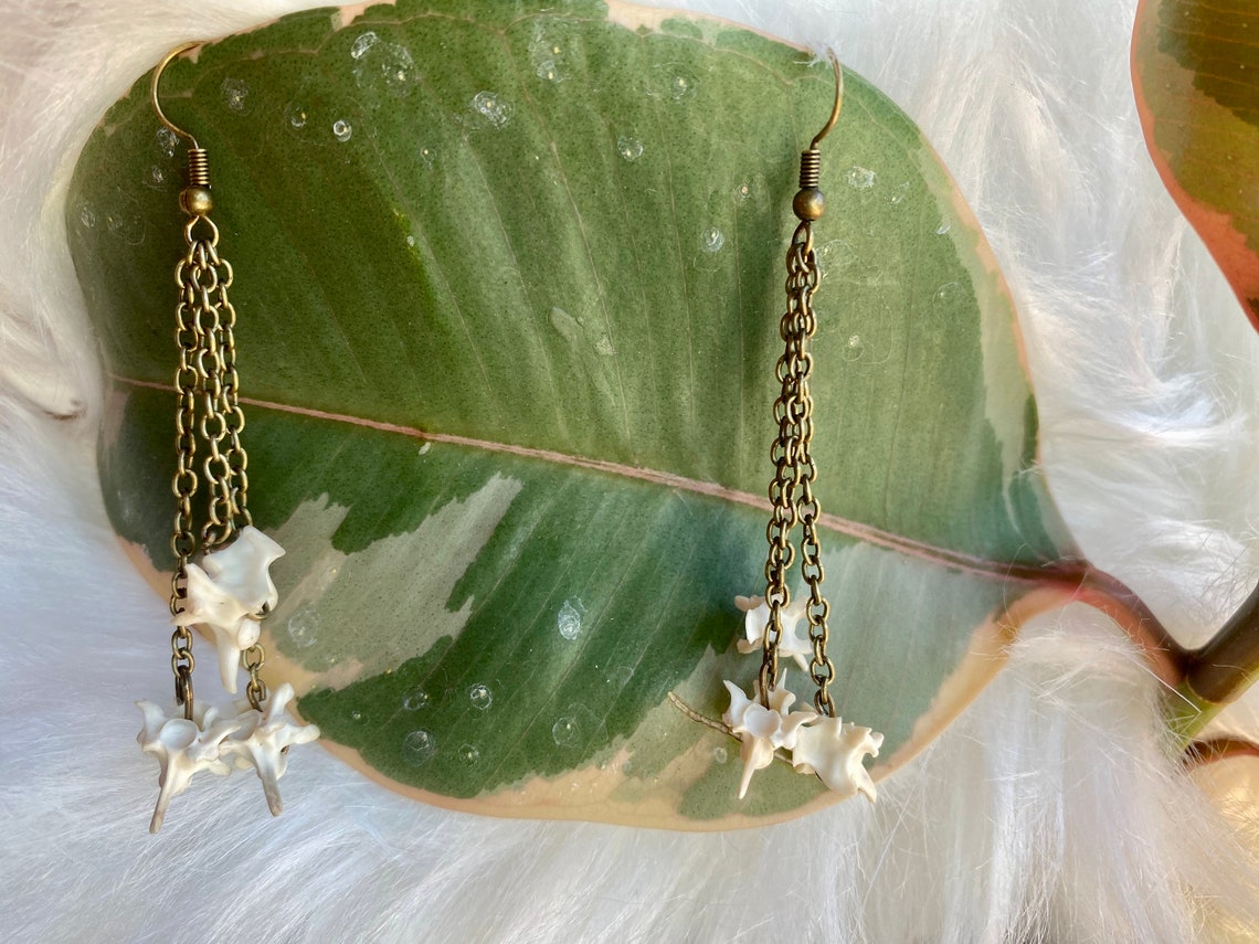 Snake Vertebrae Earrings Etsy