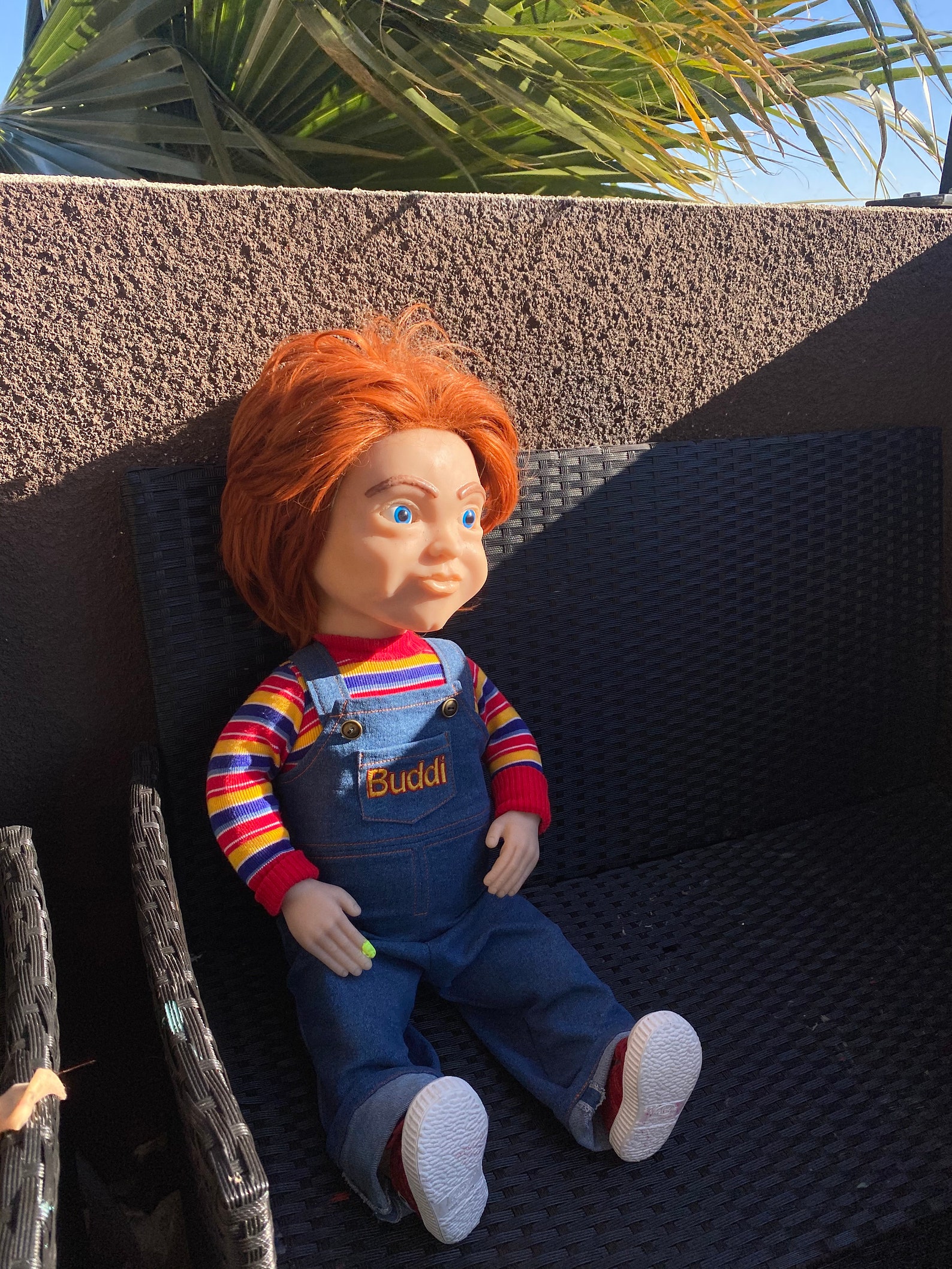 buddi doll head buddi doll head