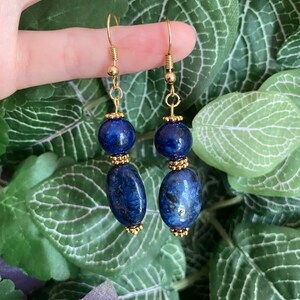 Fancy Blue Earrings