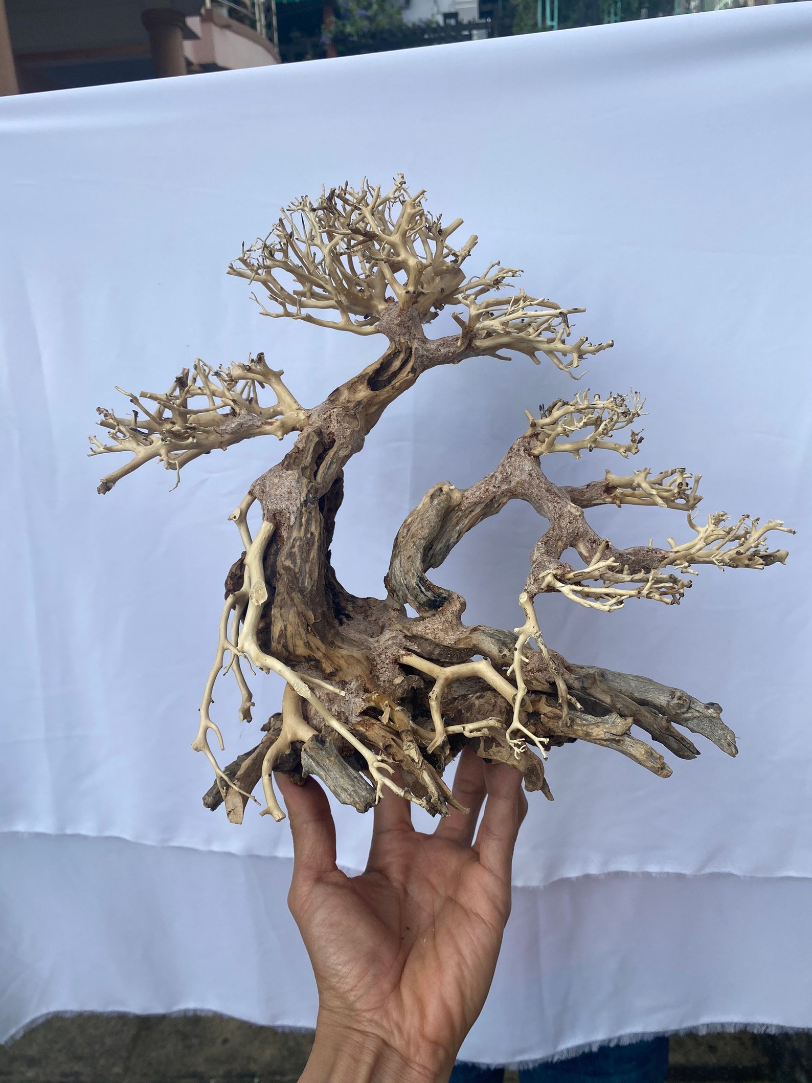 Bonsai Driftwood for Aquarium Driftwood Art Drift Wood for Etsy