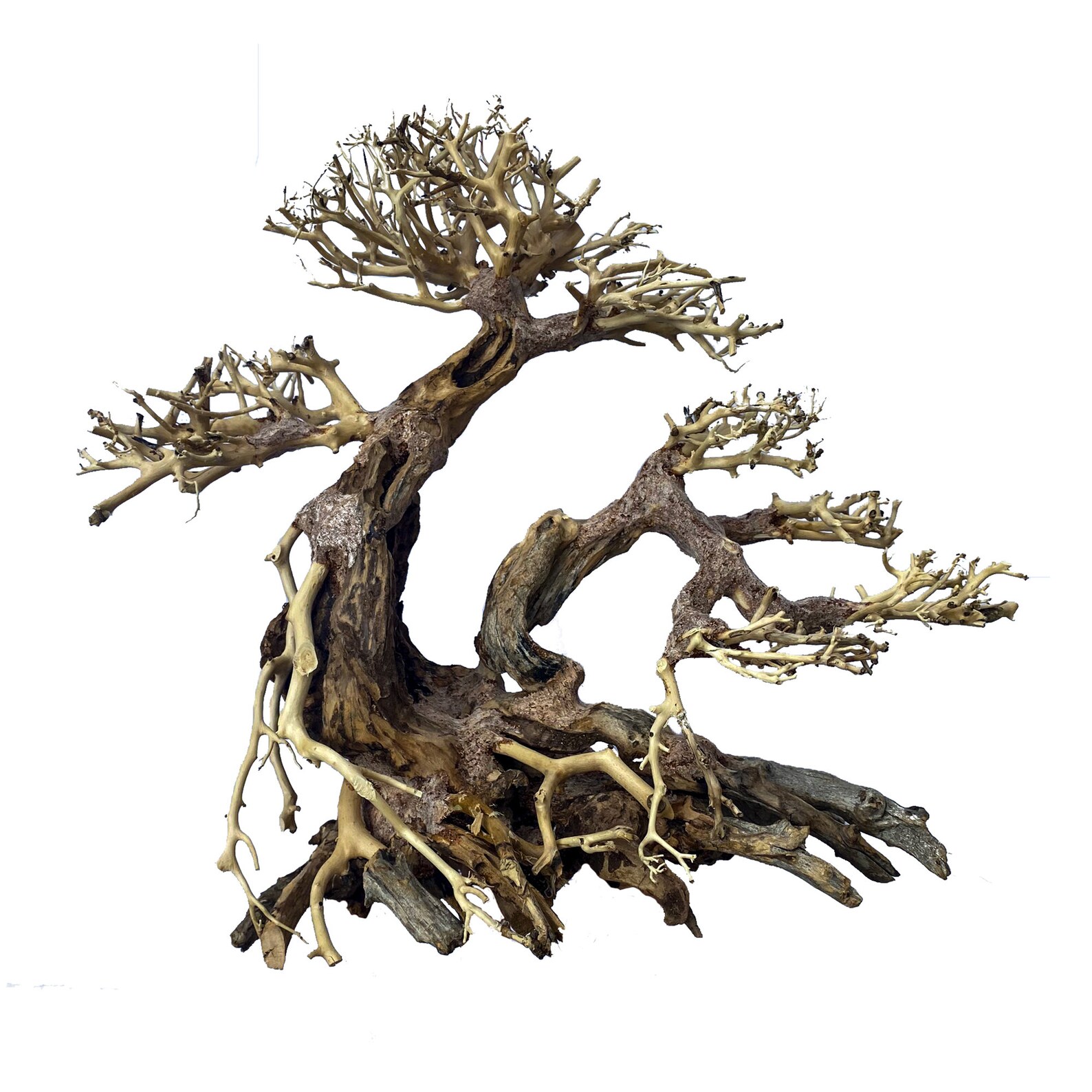 Bonsai Driftwood for Aquarium Driftwood Art Drift Wood for Etsy