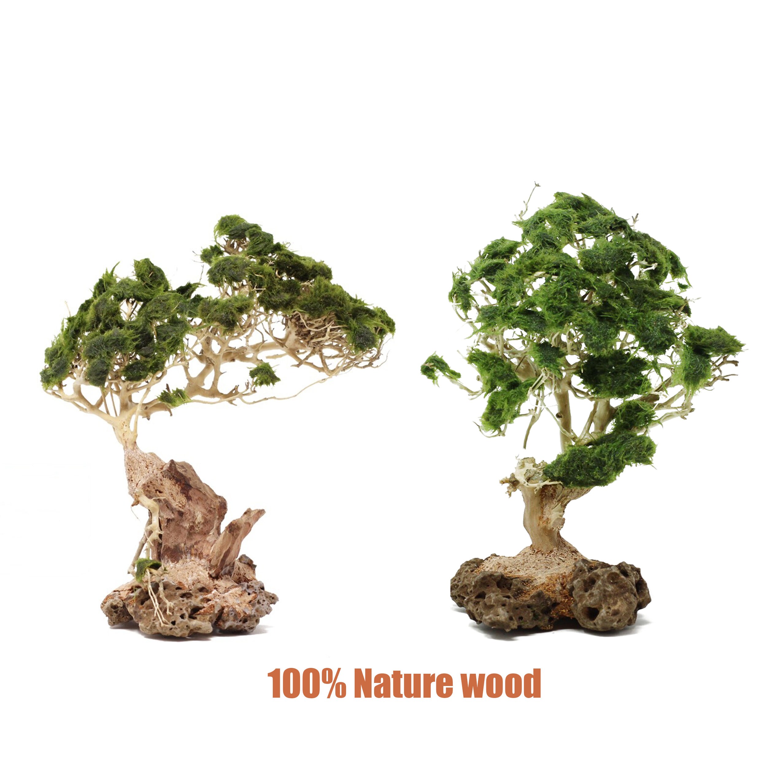 Aquarium Driftwood Bonsai Driftwood Aquarium Decoration Etsy