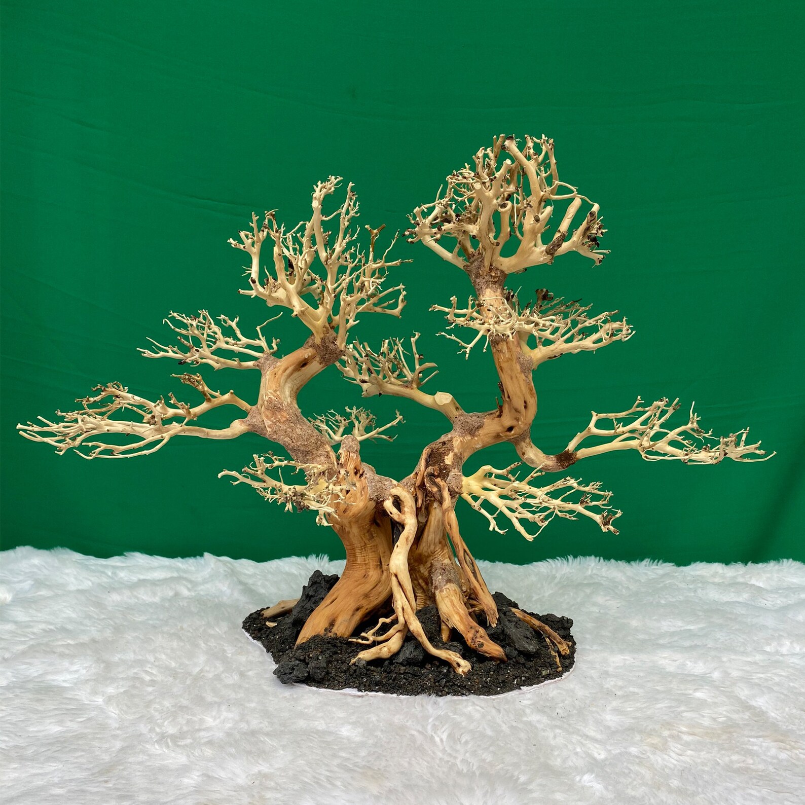 Aquarium Driftwood Bonsai Tree Bonsai Drift Wood for Etsy