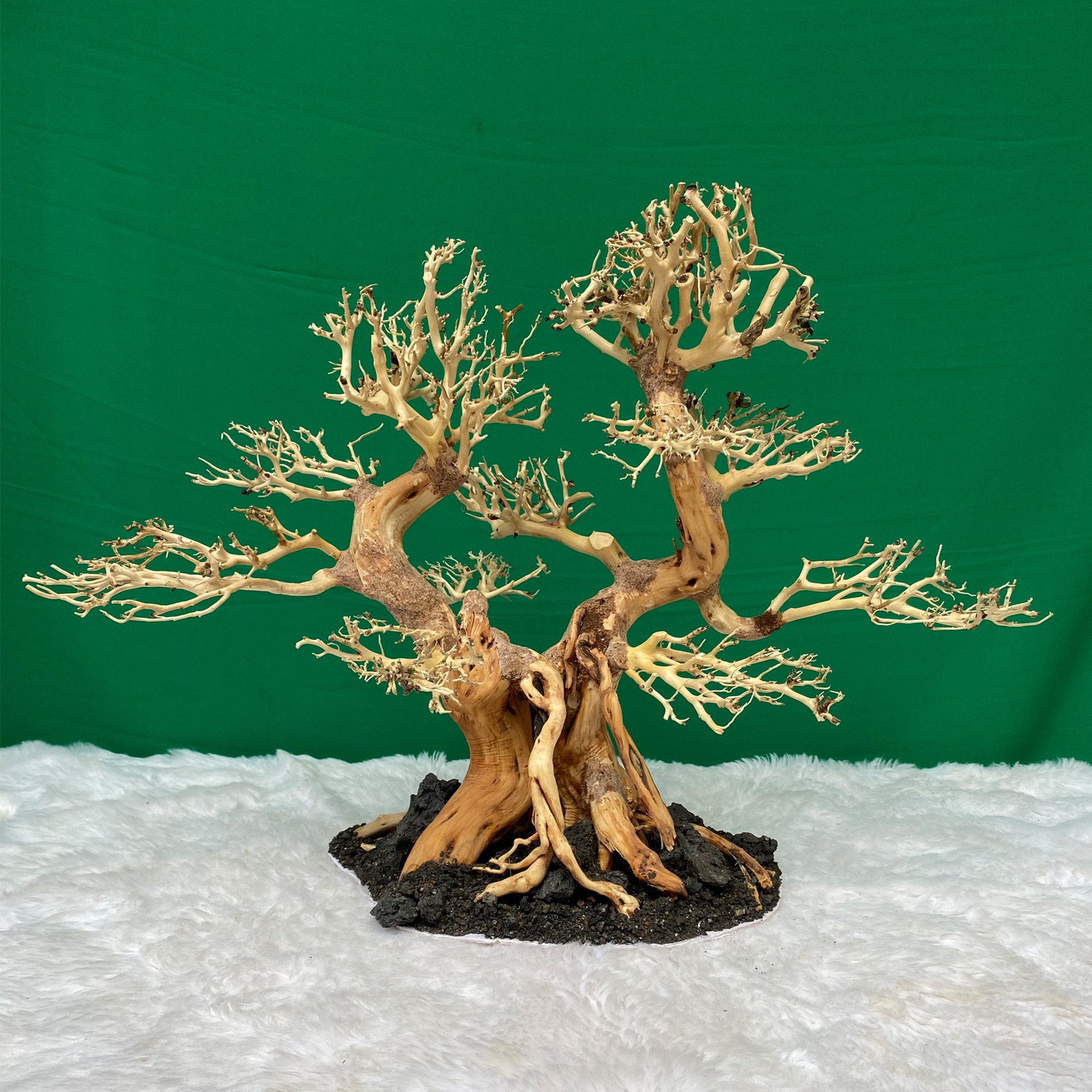 Aquarium Driftwood Bonsai Tree Bonsai Drift Wood for Etsy