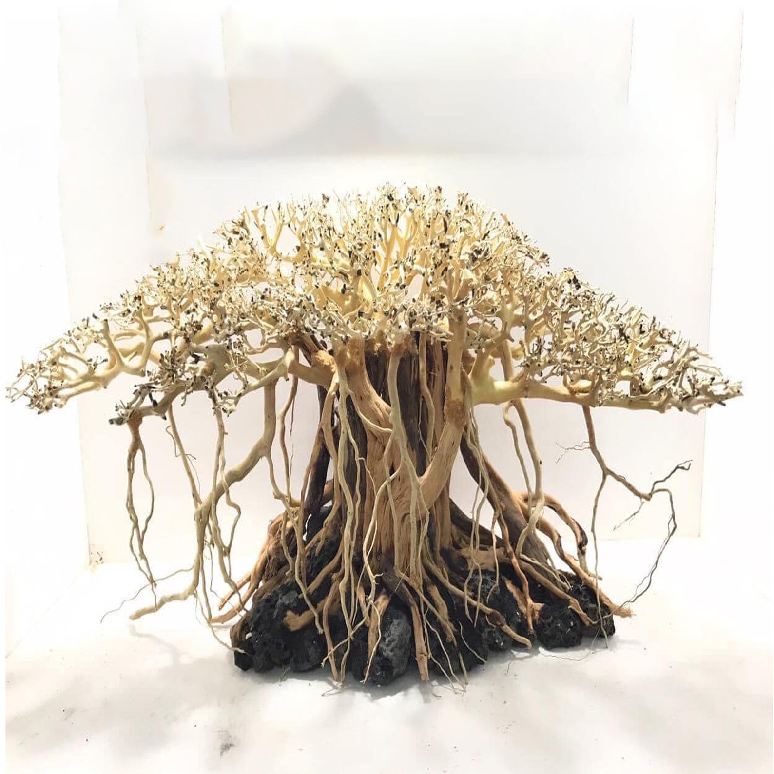 Aquarium Driftwood Bonsai Tree Aquascape Fish Tank Decoration Etsy