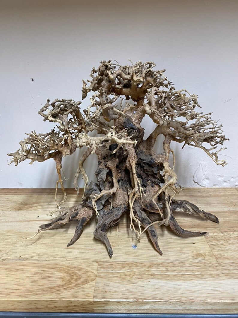 Driftwood Art Bonsai Driftwood Driftwood Wall Art Driftwood Etsy