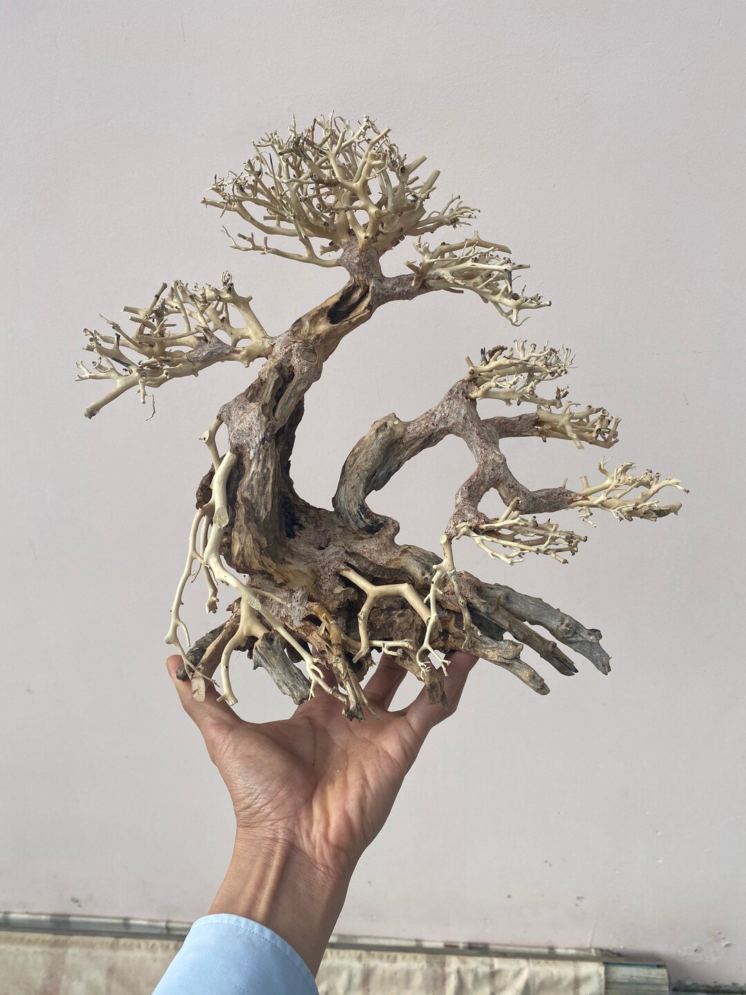 Bonsai Driftwood for Aquarium Driftwood Art Drift Wood for Etsy