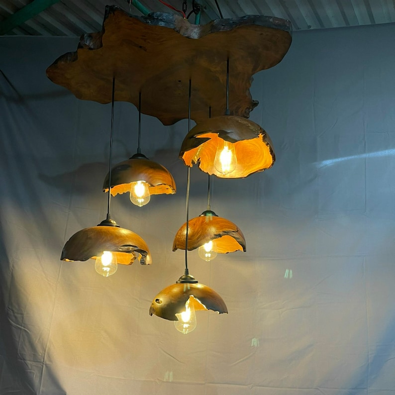 Driftwood pendant light unique wood light fixture hanging lamp home decor image 1