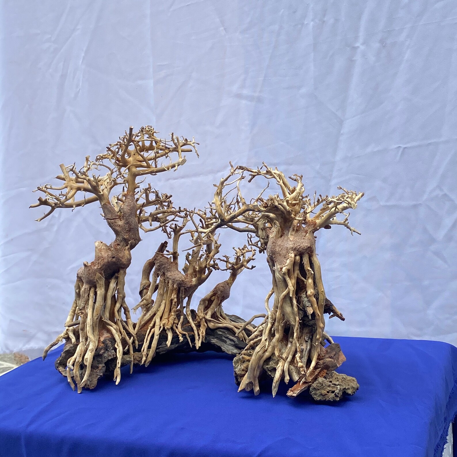 Aquarium Driftwood Tree Bonsai Driftwood for Aquarium Etsy