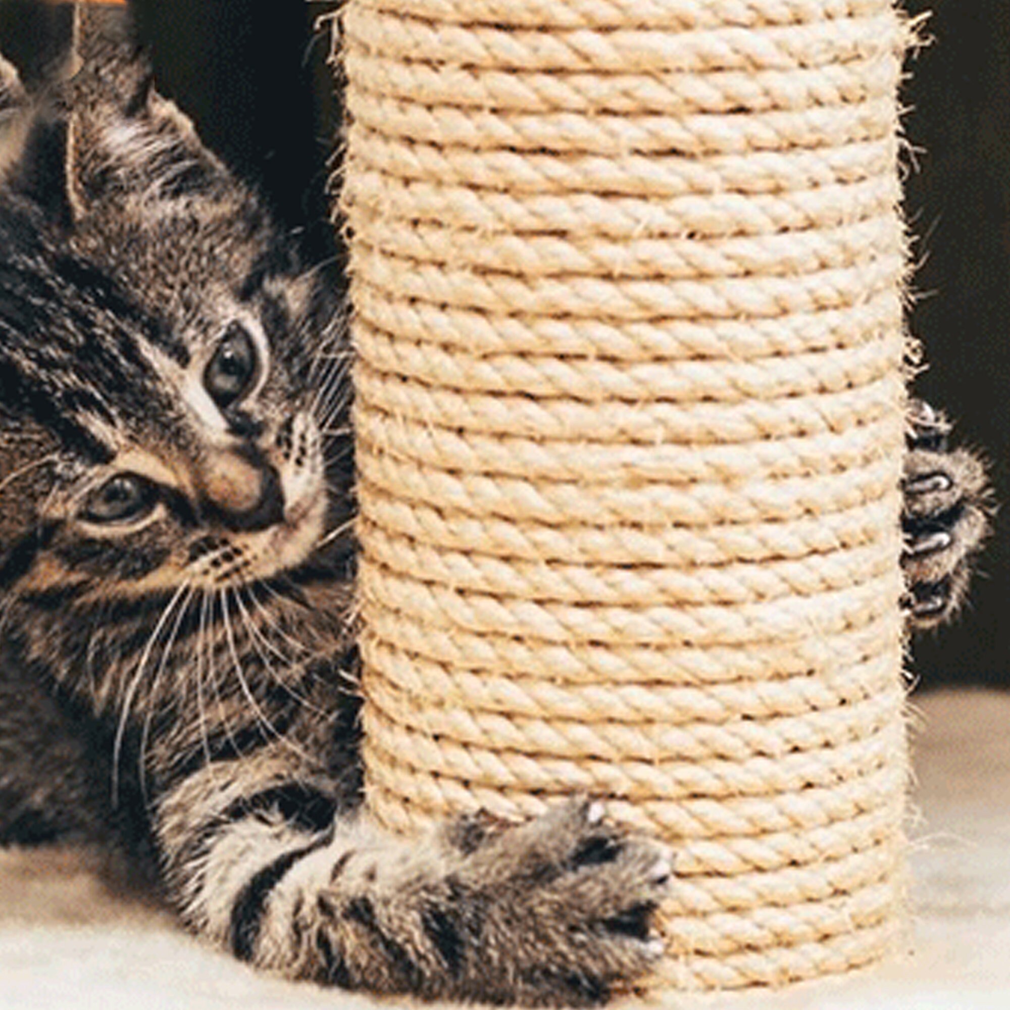 Cat Scratching Post Natural Wood Cat Scratcher 28 Tall Etsy