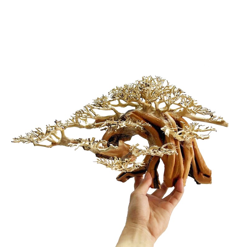 Driftwood Aquarium Plants for Decoration Bonsai Driftwood Etsy