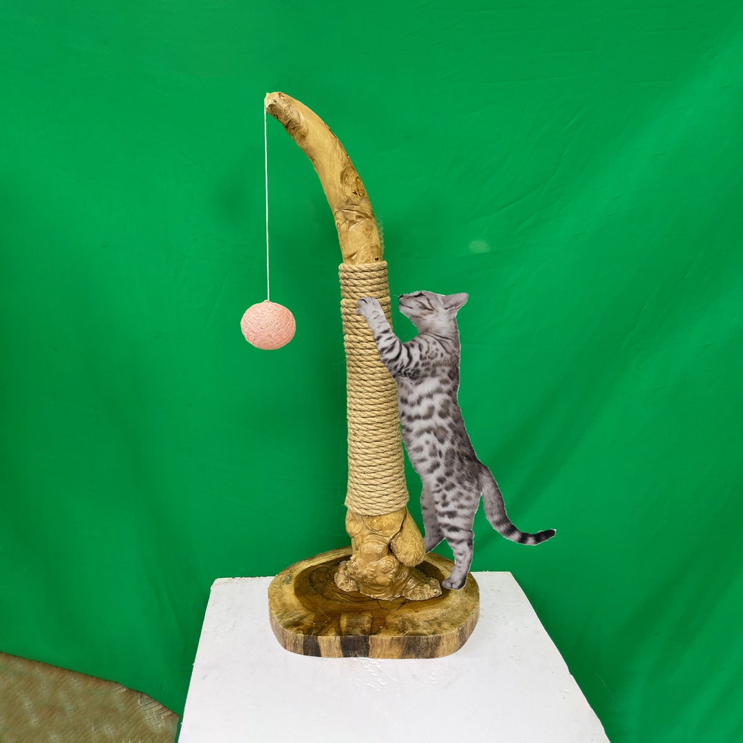 Cat Scratching Post Natural Wood Cat Scratcher 28 Tall Made to Order Etsy