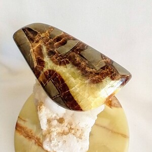 Septarian Nodule Crystal Cabochon Utah