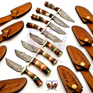 Ensemble personnalisé de couteau de chasse en acier damas pour garçons d'honneur, manche en bois de cerf La couleur du manche et la forme de la garde peuvent être différentes des photos