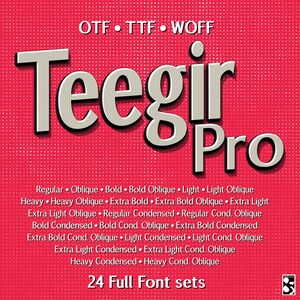 Teegir Pro 24 Fonts Sans Serif Font. OTF, TTF and WOFF format. For print, digital, web. image 1