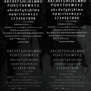 Teegir Pro 24 Fonts Sans Serif Font. OTF, TTF and WOFF format. For print, digital, web. image 5