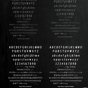 Teegir Pro 24 Fonts Sans Serif Font. OTF, TTF and WOFF format. For print, digital, web. image 8